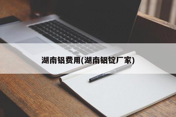湖南铝费用(湖南铝锭厂家)