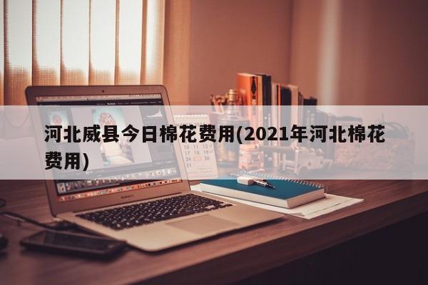 河北威县今日棉花费用(2021年河北棉花费用)