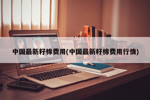 中国最新籽棉费用(中国最新籽棉费用行情)